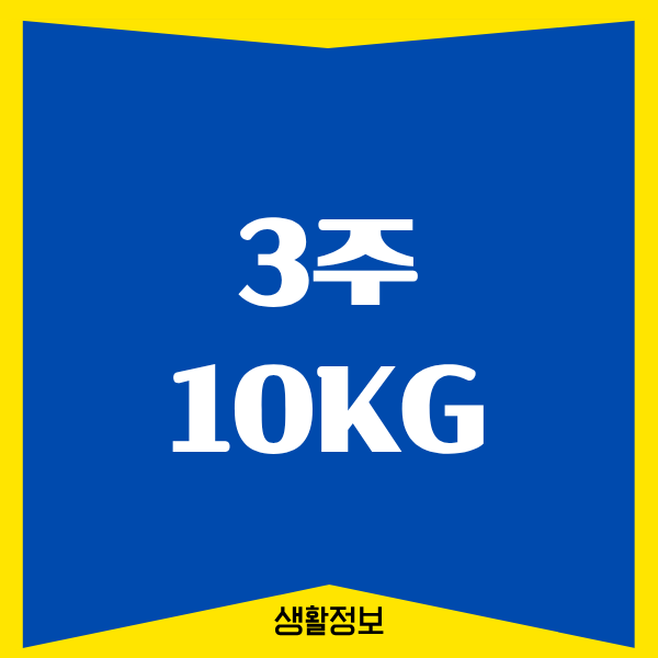 3주 10kg 감량, 제가 직접 해봤습니다