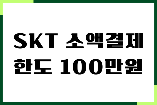 SKT 소액결제 한도 100만원 변경 방법, 주의사항