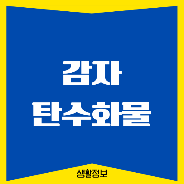 감자 탄수화물, 저는 이렇게 경험했어요