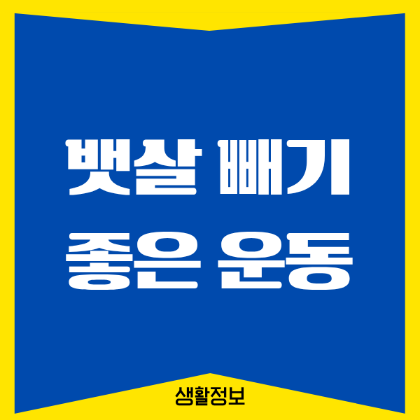 뱃살 빼기 좋은 운동, 제가 해보고 효과 본 진짜 후기