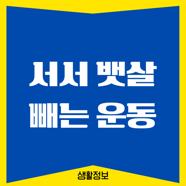 서서 뱃살빼는 운동, 정말 효과 있었던 나의 이야기