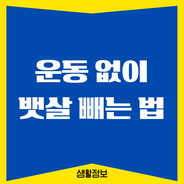 운동 없이 뱃살 빼는 법, 제가 직접 겪은 현실 후기