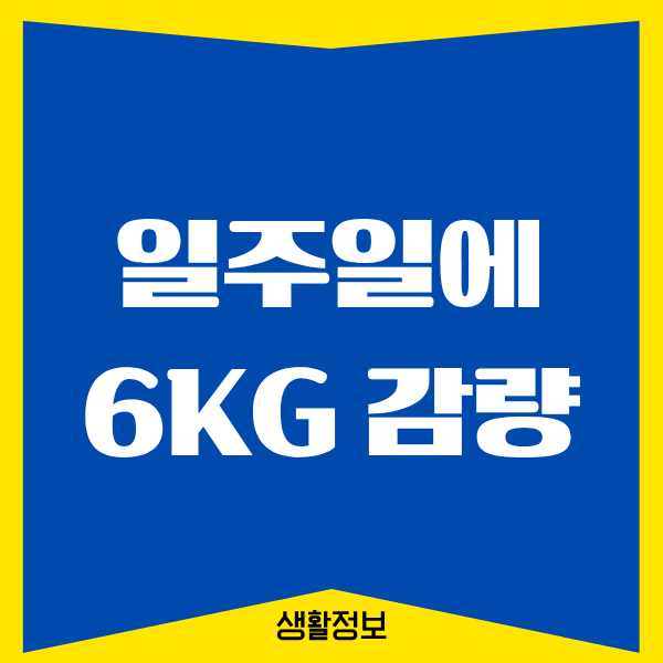 일주일에 6kg 감량 다이어트 식단, 직접 해본 후기