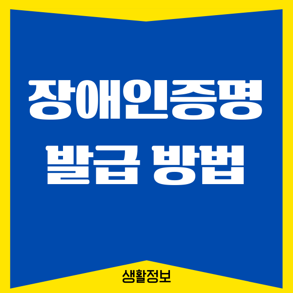 장애인증명서 발급 방법, 온라인 발급, PDF 변환, 주의사항