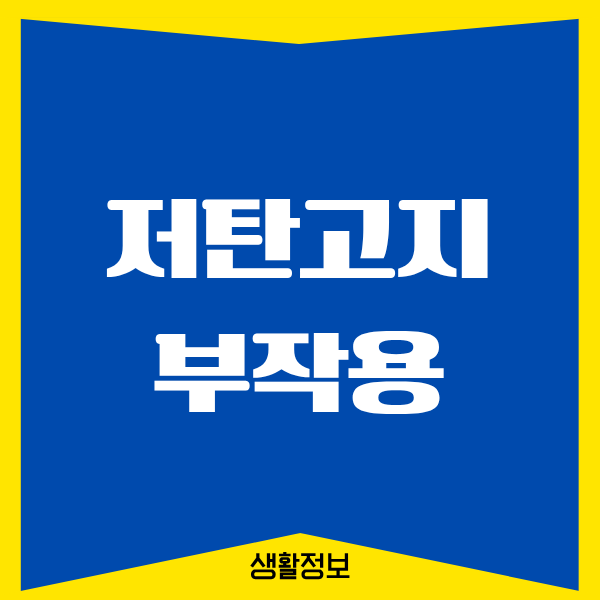 저탄고지 부작용, 직접 겪고 깨달은 내 몸의 변화