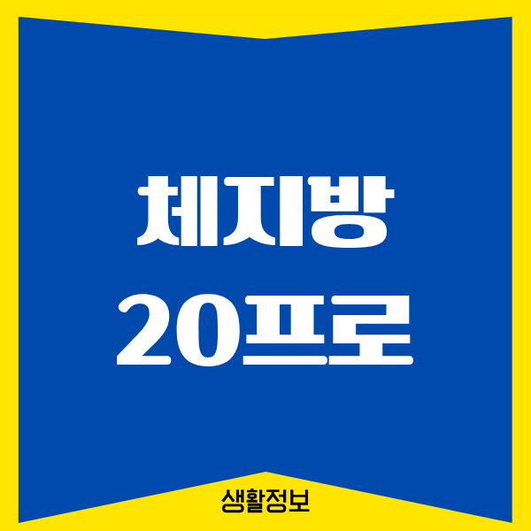 체지방 20프로 만들기, 내 인생에서 현실적인 다이어트