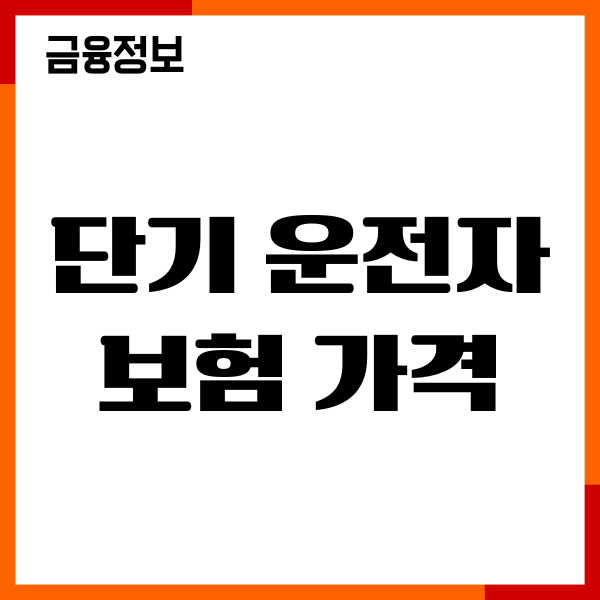 단기 운전자보험 가격, 종류, 보장내용, 가입방법 총정리